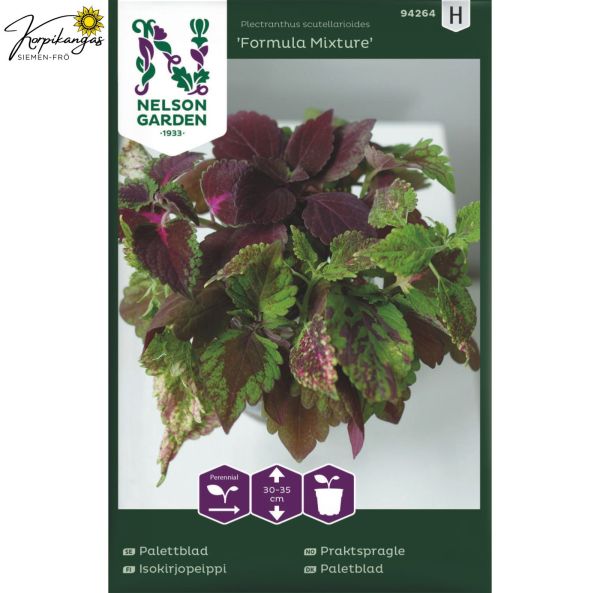 Värinokkonen, Isokirjopeippi